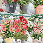 Beaucoup Bouquet