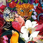 Tropical Flowers
