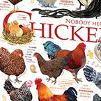 Chicken Quotes