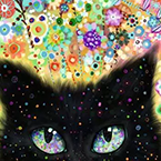 Kaleidoscope Kitty