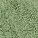 23 - Dill
