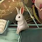 Rabbit Recital